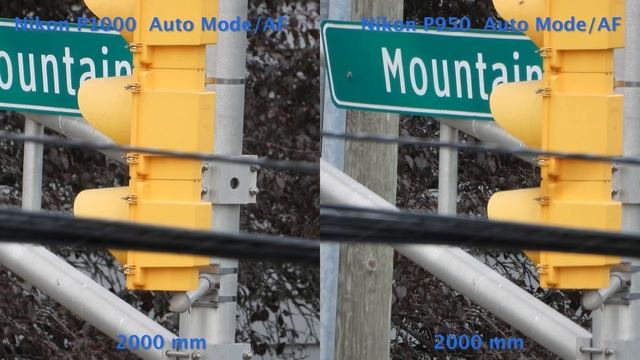 Nikon P1000 VS Nikon P950,4k Daylight Video Test Comparison,AF And ZOOM Power