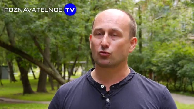 Политика англо-саксов смотреть онлайн