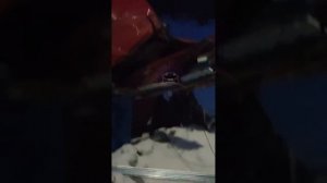 ?ДТП с участием 5 машин. Красноярский край. Боготольский район за Каштаном в сторону Кемеровской об