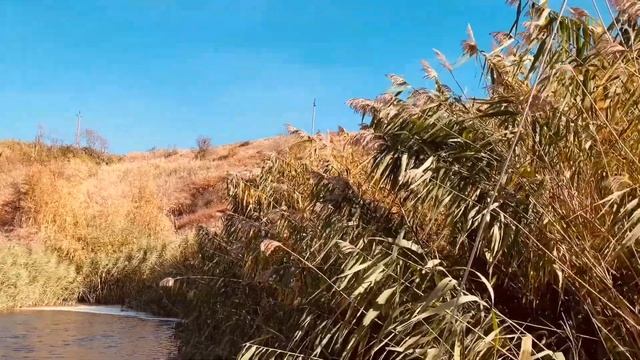 Яхта, блины и джаз смотреть онлайн