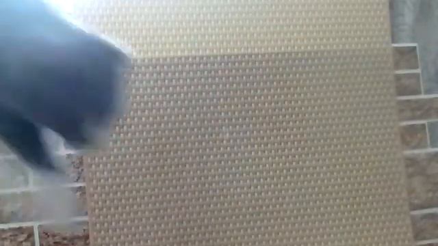 Спасение 8-и месячного котёнка от простуды смотреть онлайн
