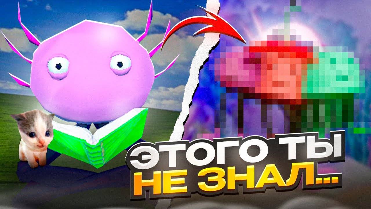 😳ЭТОГО ТЫ ТОЧНО НЕ ЗНАЛ О KinitoPET смотреть онлайн