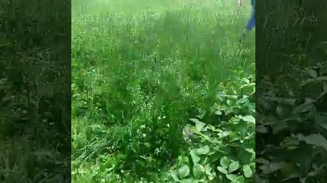 Big Vlog|Дача,Солнце,Грядки:D смотреть онлайн