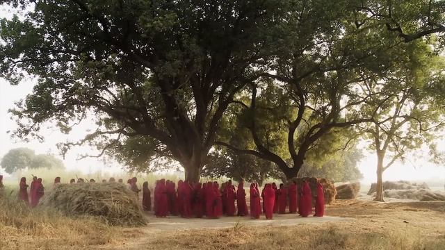 DIFF 2012 - Gulabi Gang смотреть онлайн