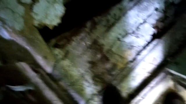 Заброшенный пионерлагерь "Красный воин" смотреть онлайн