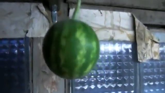 Мои "грядки" на работе смотреть онлайн