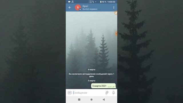Уязвимость Telegram (автоматическое удаление сообщений не работает). смотреть онлайн