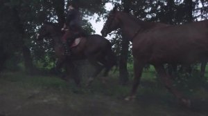 Скачки на лошадях в сильный ливень