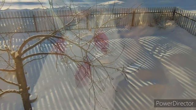 Покупки для сада, огорода,и цветов в доме смотреть онлайн