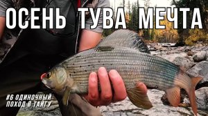 БЕРИ УДОЧКУ и САДИСЬ НА ДИВАН – ПРИШЛО ВРЕМЯ ПОРЫБАЧИТЬ! Иду в поход на рыбалку на хариуса!