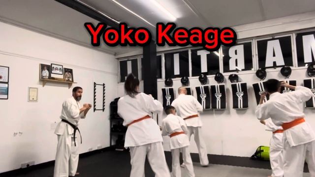 KYOKUSHIN KARATE LOWER BODY KIHON SET OF 20 смотреть онлайн