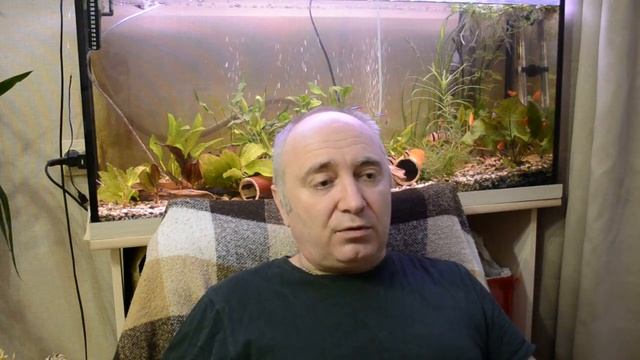 ЛИКБЕЗ для начинающих птицеводов.Урок №3:Плотность посадки птицы.Сколько кур содержать в курятнике? смотреть онлайн