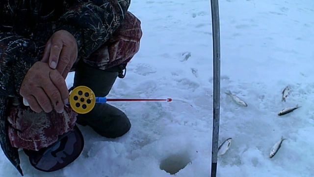 Зимне - весенняя рыбалка. Погоня за крупным головлем. За ельцом. смотреть онлайн