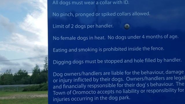 Канада площадка для выгула собак / Canada Dog Park смотреть онлайн