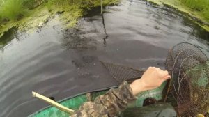Ловля карася фитилями, отличный улов