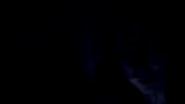 Second Oracle - Seabird's Lament смотреть онлайн