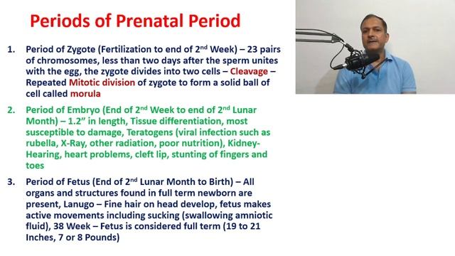 Life Span Psychology - Prenatal, Infancy & Early Childhood