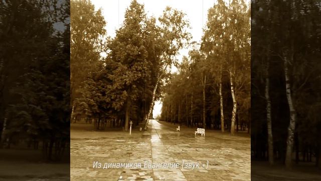 Музеи Куликова поля: Сергий Радонежский и Дмитрий Донской вне времени смотреть онлайн