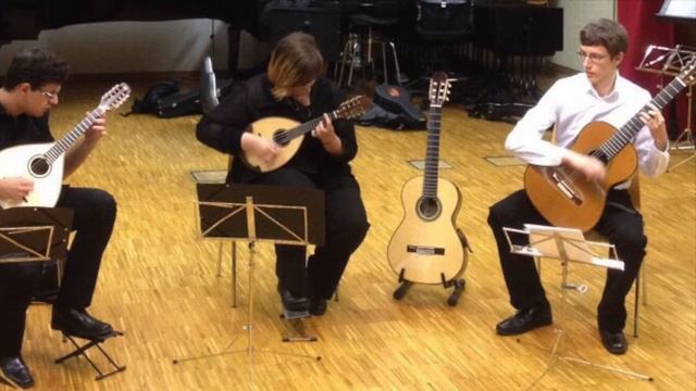 Mandolin and Guitare - Valse d'Amélie смотреть онлайн