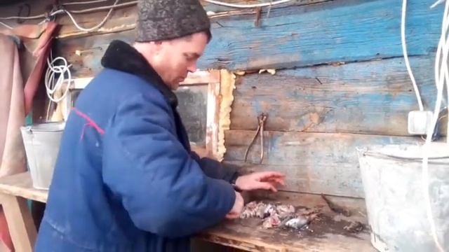 #Куры# Как повысить яйценоскость курей. смотреть онлайн