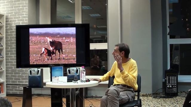 Сергей Соловьев ИНДИЯ, часть 4 смотреть онлайн