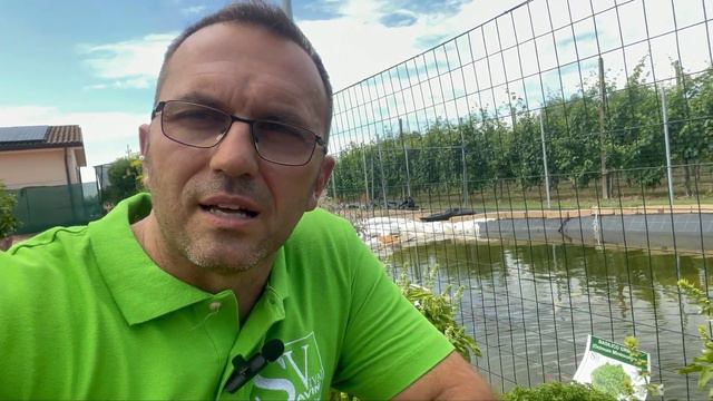Guida Pratica Alle Piante Che Ci Aiutano Ad Allontanare Le Zanzare In Giardino