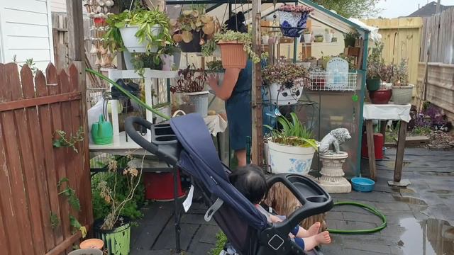 Dia D JardineriaHaciendo Trasplante,Riego Y Muestro Los Cambios Que He Hecho😊#jardineria #vlogs