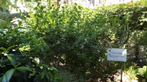 Территория отеля Sunbel Club Hotel Турция Бельдиби Июль 2022г.