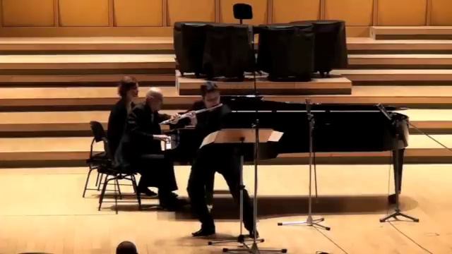 Matei Ioachimescu (flute) and Horia Maxim (piano) play Cristian Lolea - Sonata for flute and piano смотреть онлайн