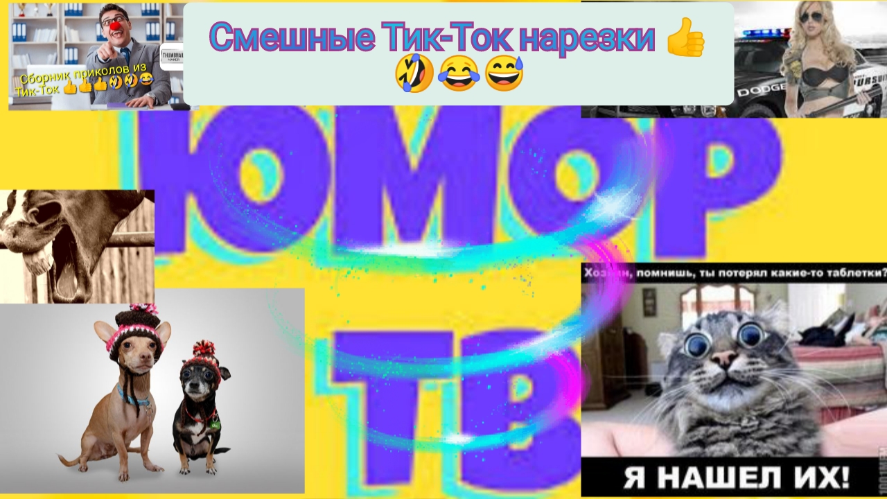 Приключения Алика в гостях у девушки ???? смотреть онлайн