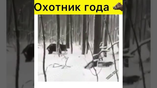охотник года ребятам на фронт я там уже был и знаю каково это 2202 2003 4591 2586 сбер смотреть онлайн