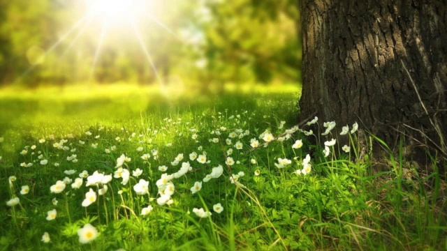 МЕДИТАЦИЯ от ХРОНИЧЕСКОЙ БОЛИ - MEDITATION 'Chronic Pain' смотреть онлайн