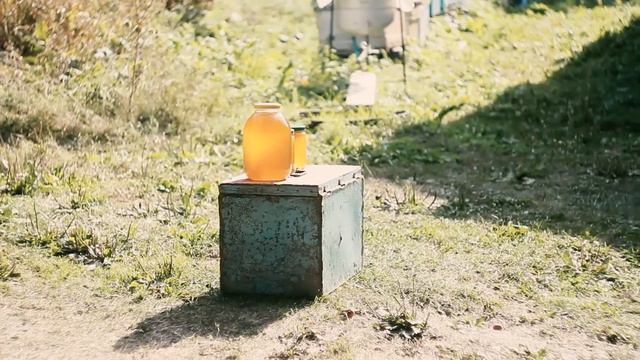 Пасека в горах смотреть онлайн
