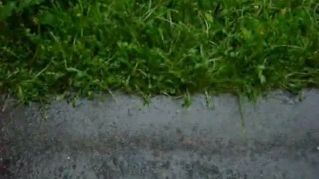 Изменения в природе происходят год от года смотреть онлайн