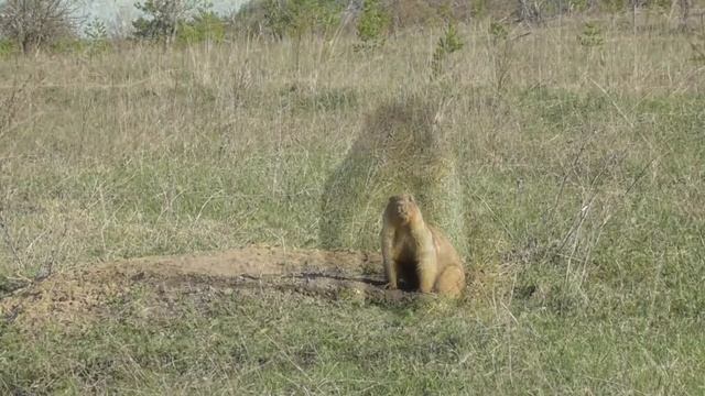 День Воинской Славы! [2 февраля 2019]. смотреть онлайн