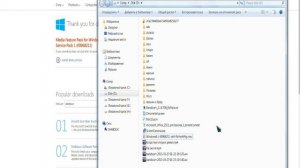 Fifa 15 решение проблемы вылет после выбора языка