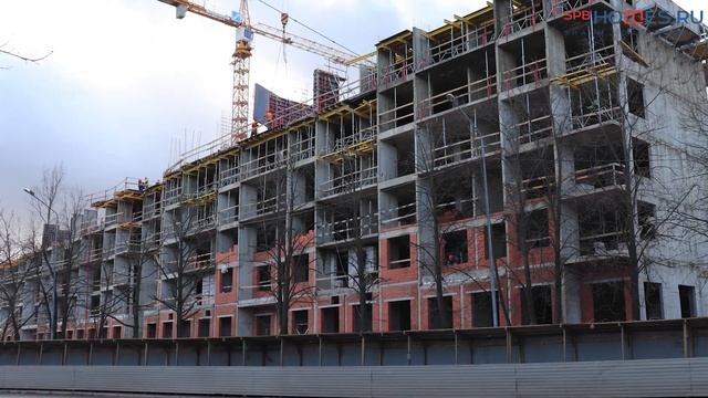 ?️♂️ Тайный покупатель - ЖК Стрижи СПб | SPBHOMES смотреть онлайн