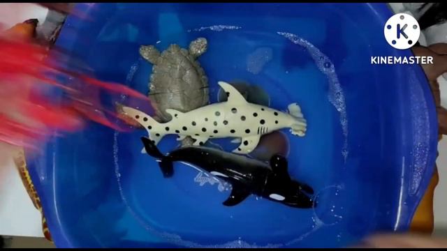 Учим морских животных//