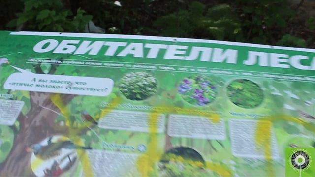 Экологическая тропа "Каменная горка" смотреть онлайн