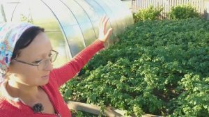 Видео привет с 6 соток 26 июня 2024 года.