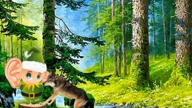 История про волчонка смотреть онлайн