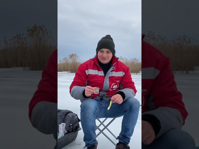 Зимняя рыбалка по-кубански #рыбалка #отдых #кубань #река #кайфули #зима #fishing #кайфули смотреть онлайн