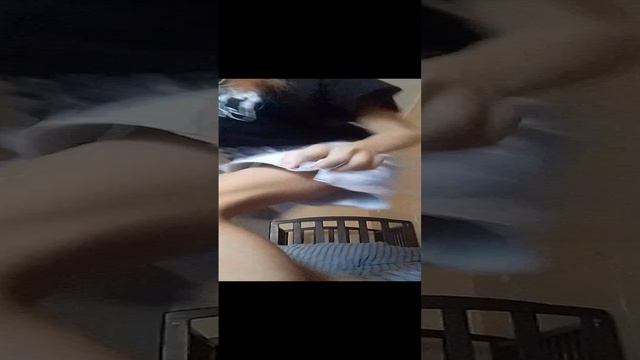 VID_20240816_174820.mp4 смотреть онлайн