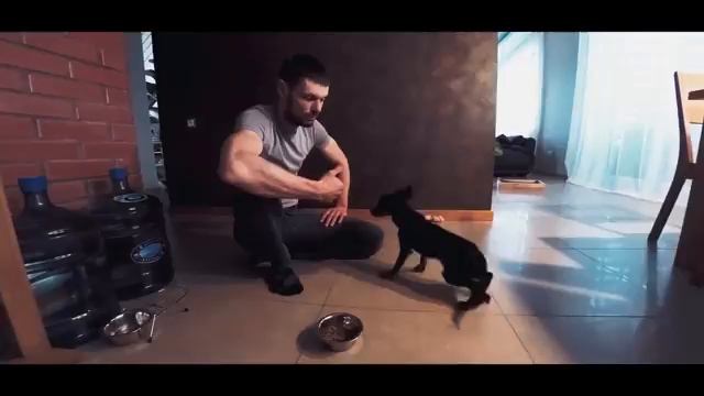 Кормление собак.Как кормить собаку.Кормление щенка.Питание собак. смотреть онлайн