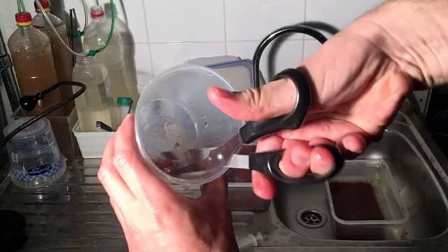Betta Food: Tubifex смотреть онлайн
