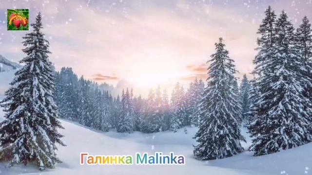 Сканеры //Обзор Влогов //Посмотрите направо //Посмотрите налево // смотреть онлайн