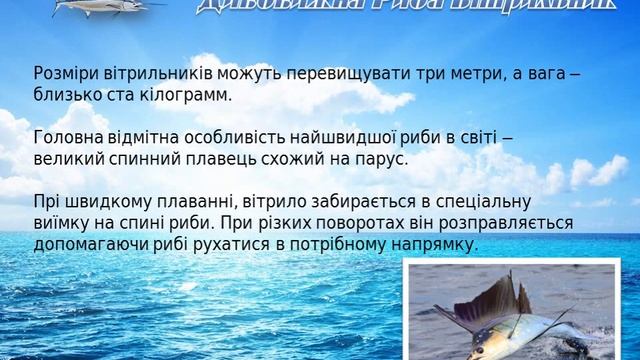 Дивовижна Риба Вітрильник - презентація смотреть онлайн