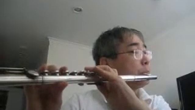 찬송가 Hymn - 369 장 - 내 맘과 정성을 다하여서 - Muramatsu Head Silver Flute - EX смотреть онлайн