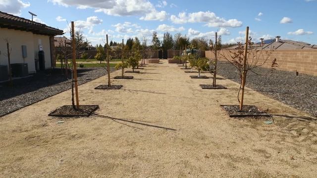 Struggling Landscape Renovation | Garden Tour With Professional Landscape Designer (Before) смотреть онлайн