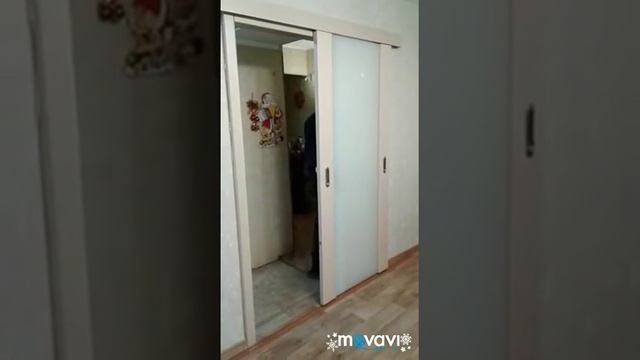 Раздвижные межкомнатные двери шпон смотреть онлайн